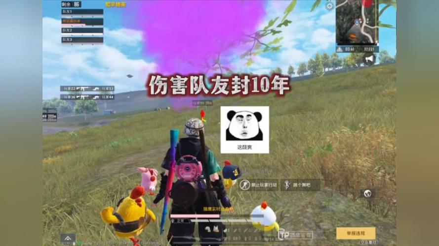 和平精英「小提琴」直装辅助
